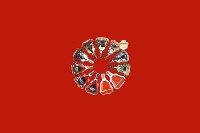宁波市江北回收红酒